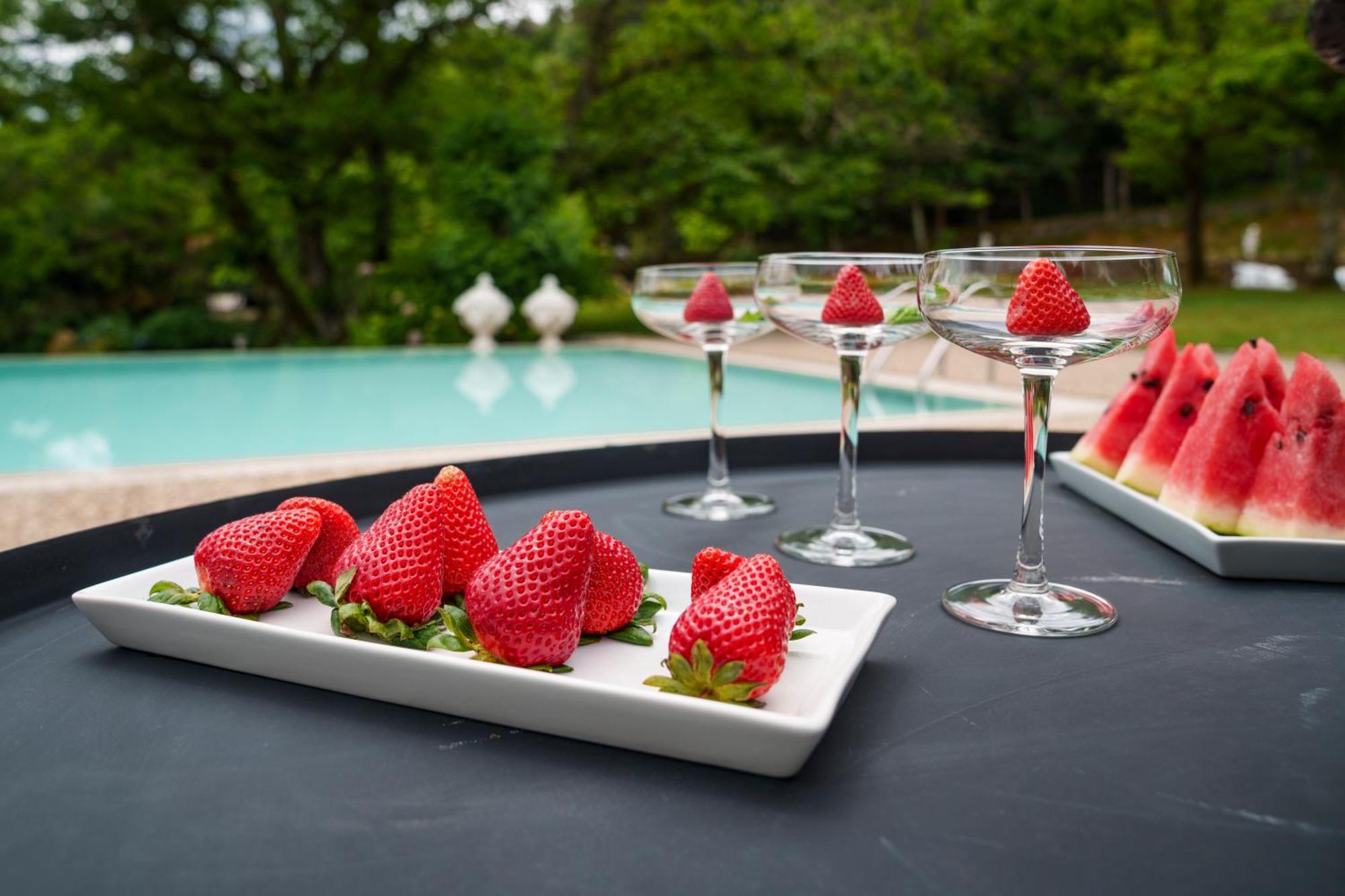 The Fox House - Private Villa & Nature São Pedro do Sul Eksteriør billede