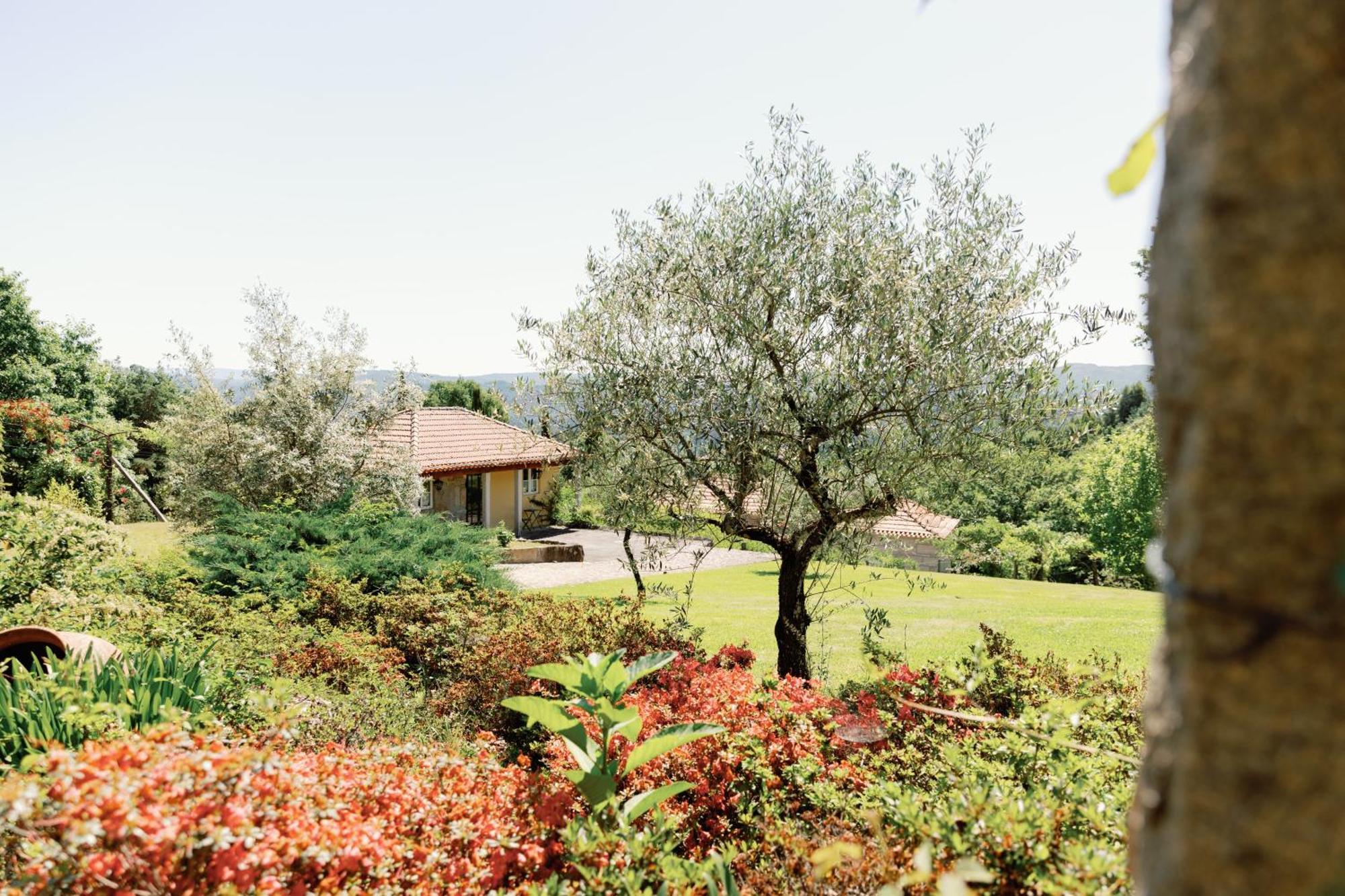 The Fox House - Private Villa & Nature São Pedro do Sul Eksteriør billede